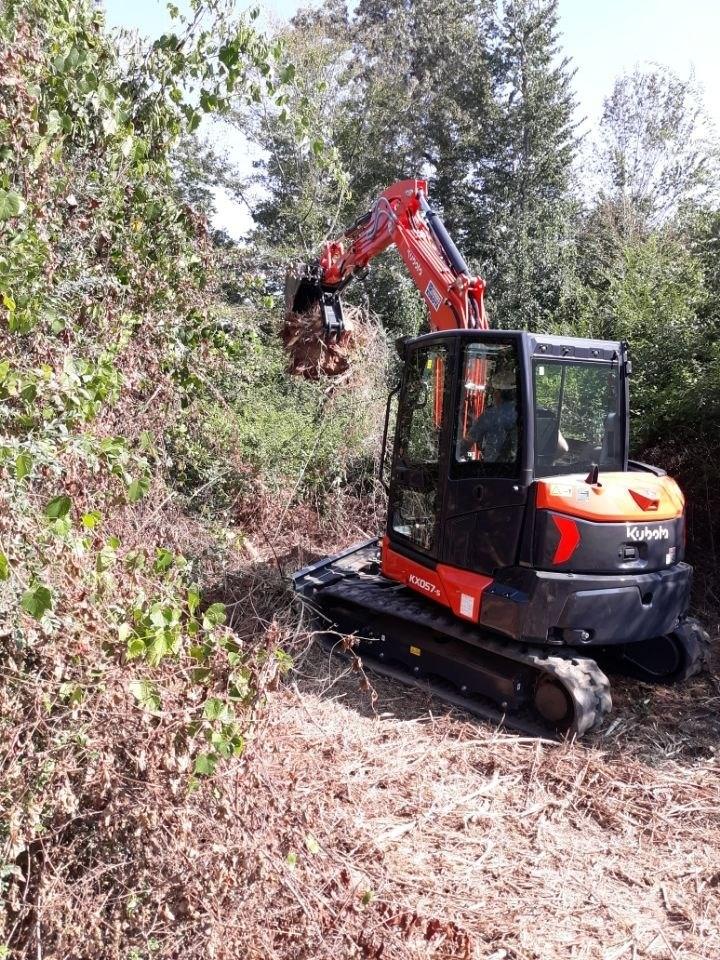Kubota KX057-5 excavator clearing brush and small trees in the woods